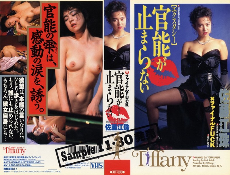 官能が止まらない 佐藤江珠