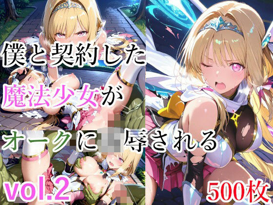 僕と契約した魔法少女がオークに凌●される  vol.2