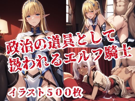 政治の道具として扱われるエルフ騎士