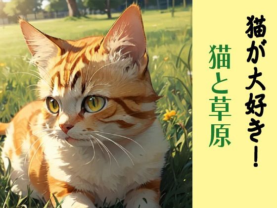 猫が大好き！猫と草原
