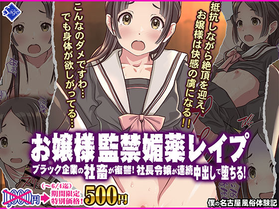 お嬢様監禁媚薬レ●プ-ブラック企業の社畜が復讐！社長令嬢が連続中出しで堕ちる！-