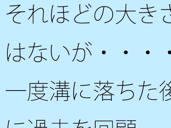 それほどの大きさはないが・・・・一度溝に落ちた後に過去を回顧