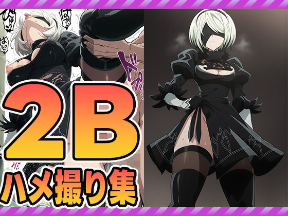 2Bハメ撮り集