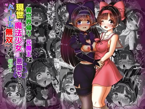 vol.14 異世界帰りの元魔王は現世で魔法少女を悪堕ちさせてハーレム無双しますが何か？【ポニテお姉ちゃん編】