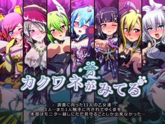 カクワネがみてる vol，37