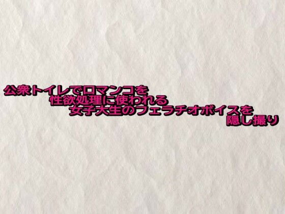 公衆トイレで口マンコを性欲処理に使われる女子大生のフェラチオボイスを隠し撮り