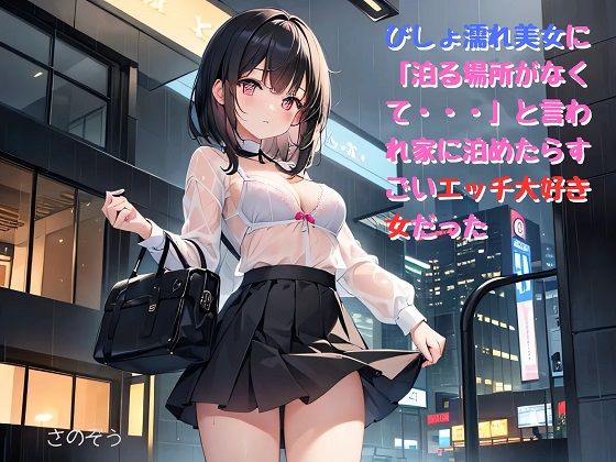 【お気軽小説】びしょ濡れ美女に「泊る場所がなくて・・・」と言われ家に泊めたらすごいエッチ大好き女だった