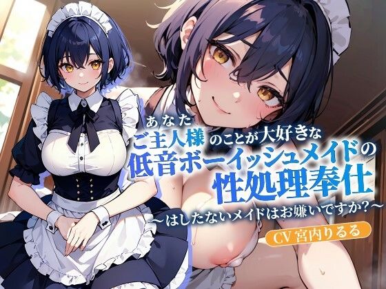 ご主人様（あなた）のことが大好きな低音ボーイッシュメイドの性処理奉仕〜はしたないメイドはお嫌いですか？〜【抱き枕推奨/ファンタジー/ラブラブ】