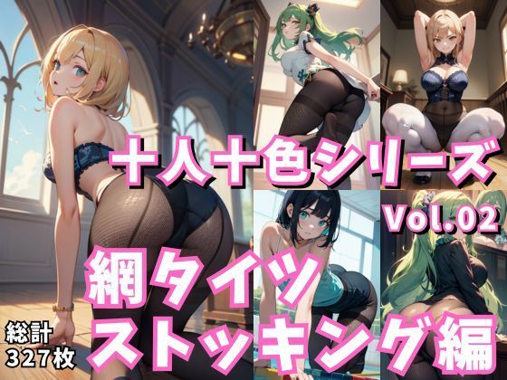 十人十色シリーズ vol.02:網タイツ・ストッキング編:299＋28枚