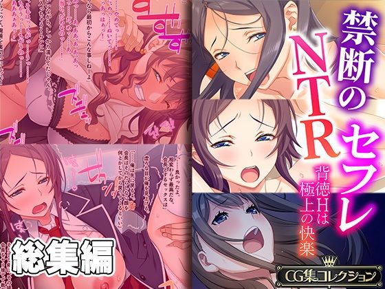 禁断のNTRセフレ 〜背徳Hは極上の快感〜【CG集コレクション】