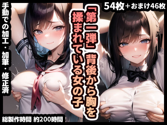 【第一弾】背後から胸揉み（等） イラスト集vol.1〜5セット