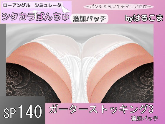 SP140 ガーターストッキング3追加パッチ