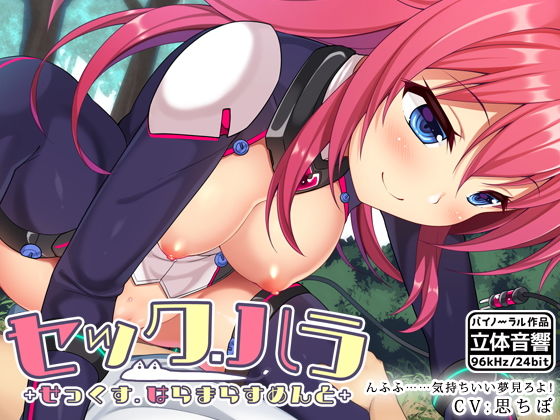 セック・ハラ ＋せっくすはらますめんと＋