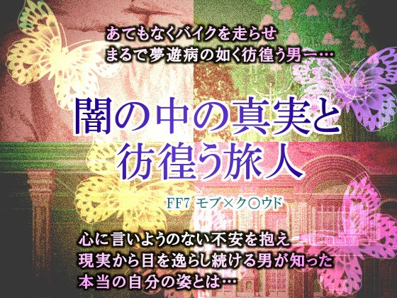 闇の中の真実と彷徨う旅人