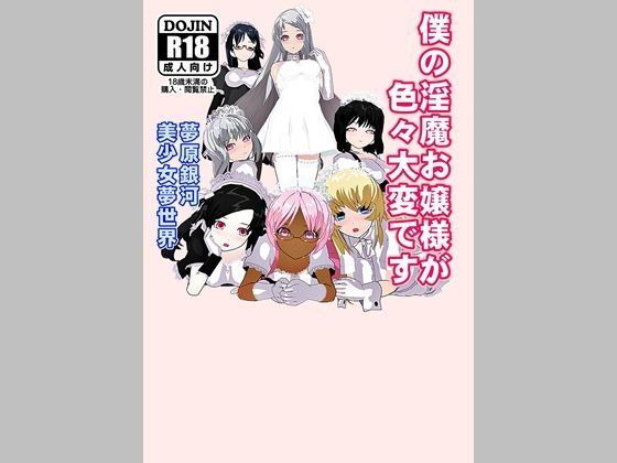 僕の淫魔お嬢様が色々大変です