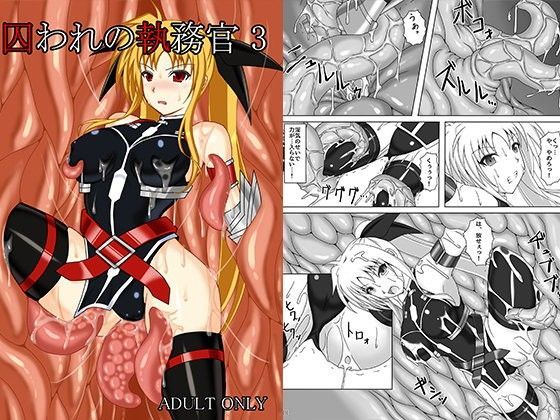 囚われの執務官 3