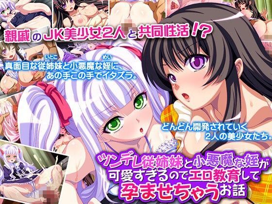 ツンデレ従姉妹と小悪魔な姪が可愛すぎるので、エロ教育して孕ませちゃうお話