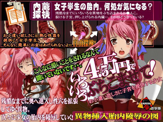 4.5万円でいろいろぶちこませて！