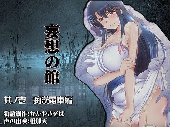 妄想の館 其の壱 痴●電車編