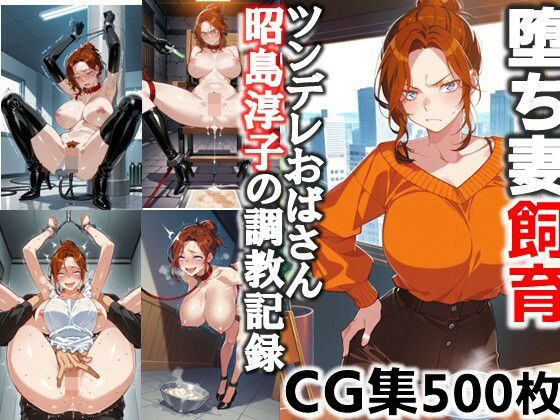 堕ち妻飼育  ツンデレおばさん昭島淳子の調教記録CG集