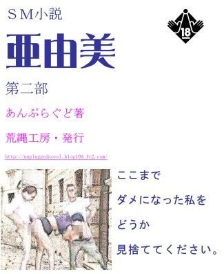 小説『亜由美』第二部