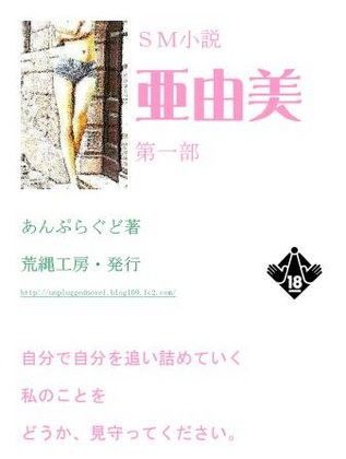 小説『亜由美』第一部