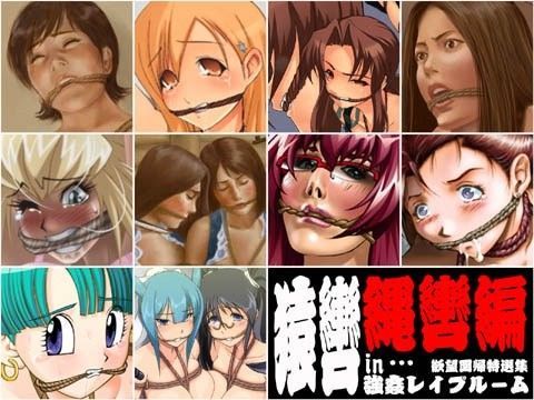 欲望回帰 特選集 -猿轡 in …強●レ●プルーム縄編-