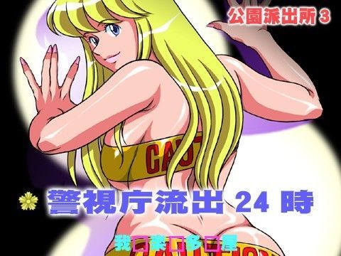 公園派出所3 警視庁流出24時