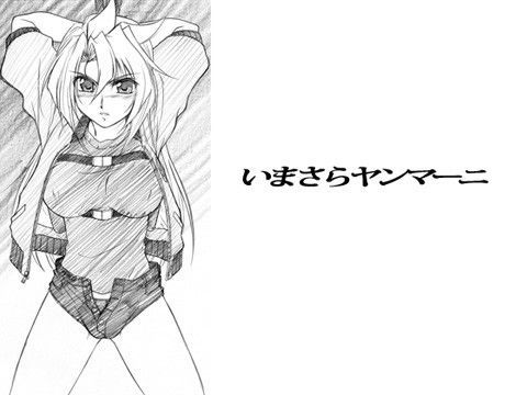 いまさらヤンマーニ