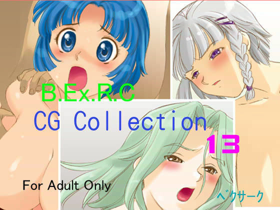 ベクサーク CG COLLECTION 13