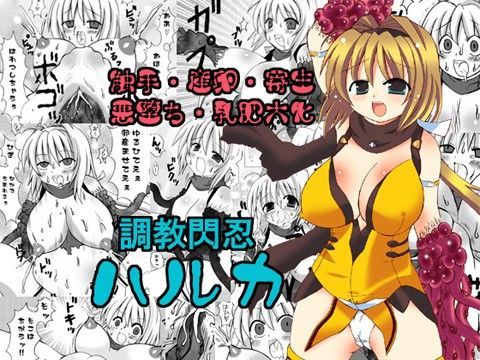 調教閃忍ハルカ