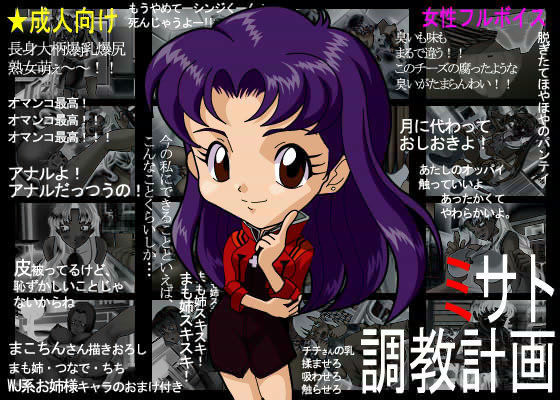 ミサト調教計画