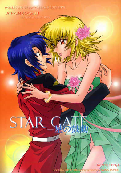 STAR GATE