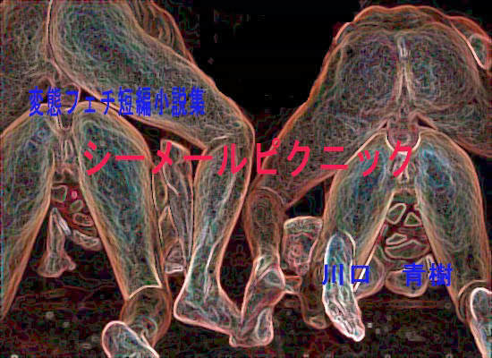 変態・フェチ短編小説集「シーメールピクニック」