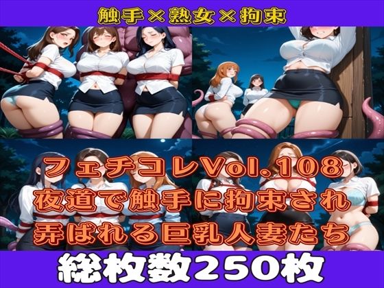 フェチコレVol.109 夜道で触手に拘束され弄ばれるミニスカ巨乳人妻たち（ハーレム編）【枚数250枚】