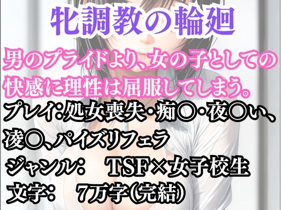 突然美少女にされた俺  牝調教の輪廻