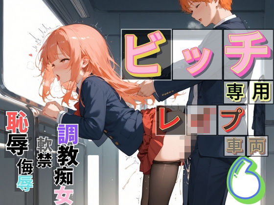 ビッチ用レ●プ車両！乗ったら終点まで乗り継ぎまくってください6【制服美少女の厳選CG375枚収録】