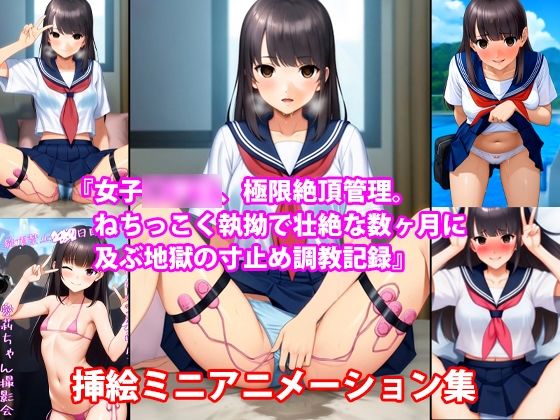 『女子〇〇〇、極限絶頂管理。ねちっこく執拗で壮絶な数ヶ月に及ぶ地獄の寸止め調教記録』挿絵ミニアニメーション集