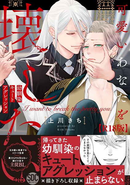 可愛いあなたを壊したい 幼馴染キュートアグレッション【R18単行本版】