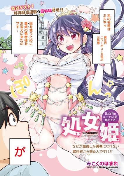 処女姫〜なぜか童貞しか勇者になれない異世界から来たんですけど〜（番外編）（単話）