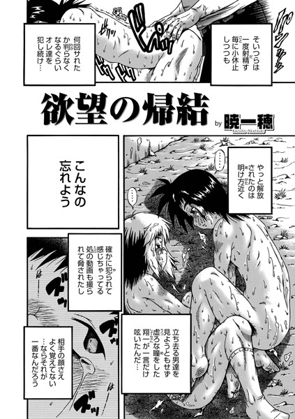 欲望の帰結（単話）