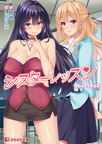 シスターレッスン