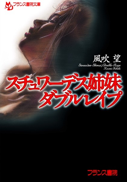 スチュワーデス姉妹・ダブルレ●プ
