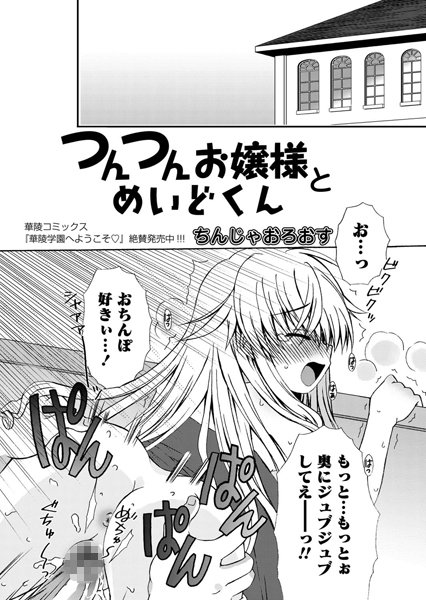 つんつんお嬢様とめいどくん（単話）