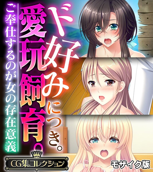 ド好みにつき。愛玩飼育。 〜ご奉仕するのが女の存在意義〜【CG集コレクション】 モザイク版