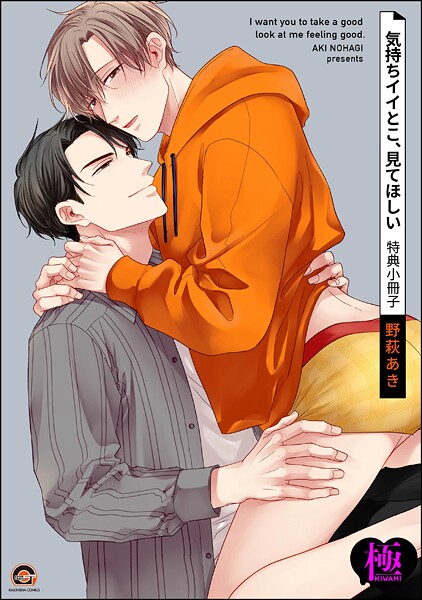 気持ちイイとこ、見てほしい 特典小冊子【極】（単話）